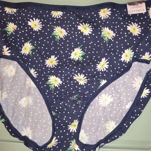 Set Of 5 High Leg Briefs By Cacique